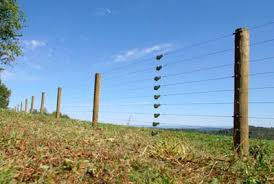 wire fence image